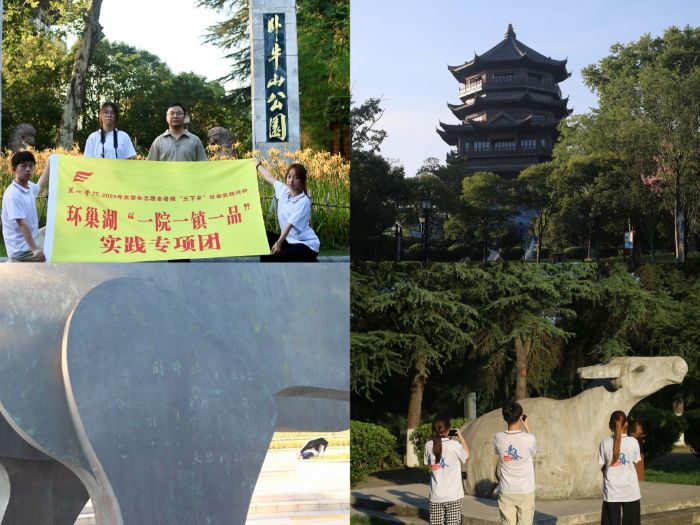 圖為團隊成員在巢湖市洗耳池公園、臥牛山公園、龜山公園參觀調研 通訊員 楊涵 提供